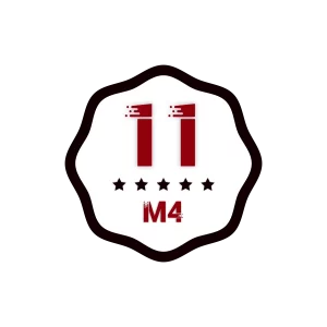 M4 Statystyka ★ 12 miesięcy ★ 120,00 zł